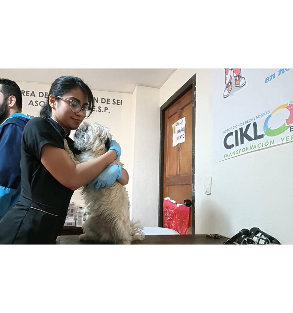 Asociados de Familia Ciklo recibiendo mercados de un aliado